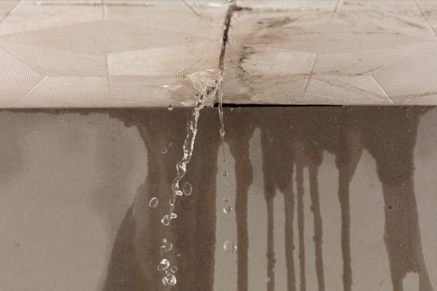 Professional Sewage Cleanup technician working in Holbrook, AZ